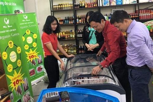 Chăn nuôi theo chuỗi liên kết: Hiệu quả chưa như mong đợi