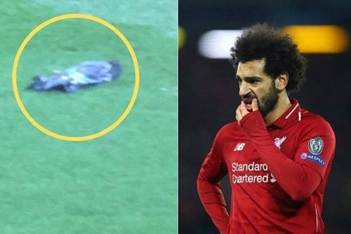 CĐV đổ tội cú sút của Salah giết chết chú chim bồ câu