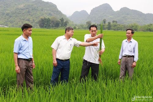Luân chuyển cán bộ: Được và chưa được