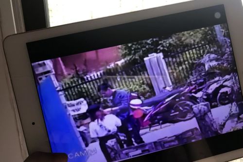 Cảnh khách du lịch 'cầm nhầm' chó của quán cà phê ở Đà Lạt