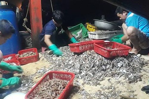 Náo nức tàu chở sản vật biển cập cảng Cửa Sót ngày lễ