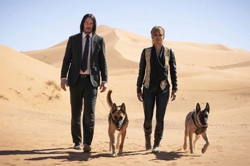 Những nhận xét đầu tiên về phim 'John Wick: Chapter 3'