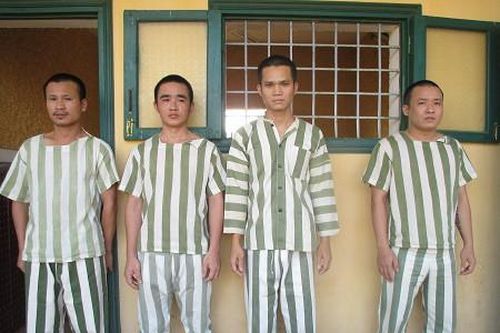 Thuê xe ô tô bạc tỷ cầm cố để chiếm đoạt