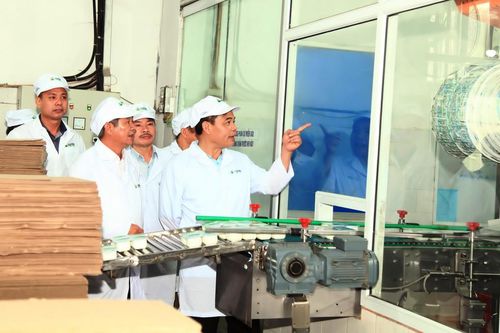 Đưa Mộc Châu trở thành trung tâm bò sữa lớn nhất Việt Nam