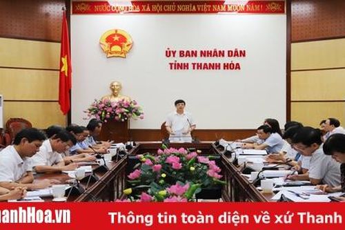 Thường trực UBND tỉnh cho ý kiến về danh mục các dự án đầu tư có sử dụng đất và dự án PPP năm 2019