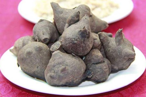 Suýt mất mạng vì uống rượu ngâm củ ấu tẩu
