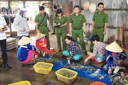 Quyết trị 'bệnh mạn tính' bơm tạp chất vào tôm