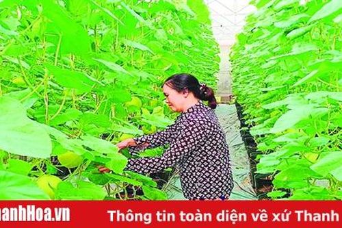 Huyện Lang Chánh đẩy mạnh ứng dụng tiến bộ khoa học - kỹ thuật vào sản xuất nông nghiệp