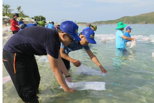 Thả gần 600.000 con giống tái tạo nguồn lợi thủy sản Vịnh Nha Trang