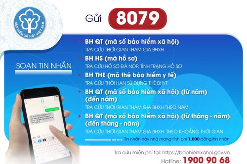 Tra thông tin về bảo hiểm xã hội, bảo hiểm y tế qua tin nhắn