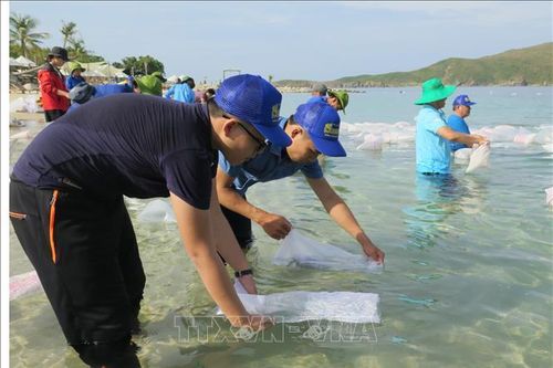 Thả cá giống tái tạo nguồn lợi thủy sản trên Vịnh Nha Trang