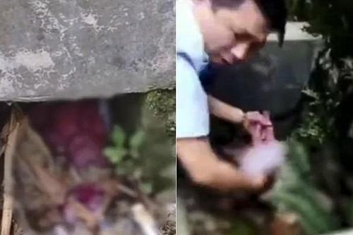 Đang dọn mương rác, công nhân vệ sinh phát hiện tội ác kinh hoàng