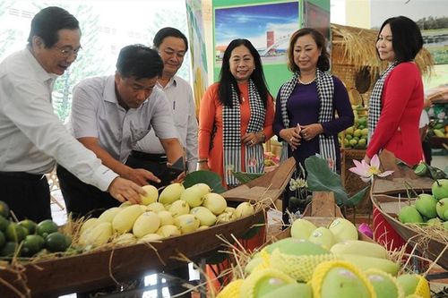 Trung Quốc siết quy định nhập nông sản: Xuất khẩu rau củ quả gặp khó