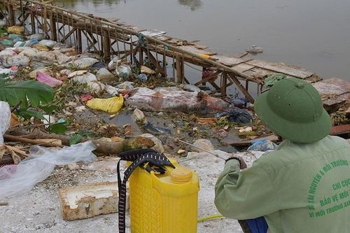 Dịch lây lan phức tạp, tiêu hủy hơn 1,2 triệu con vì dịch tả lợn châu Phi