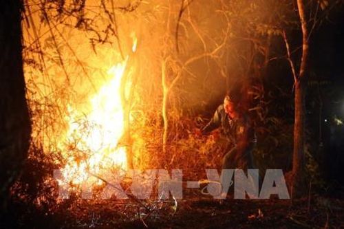 Điện Biên: Cháy rừng lớn trong đêm