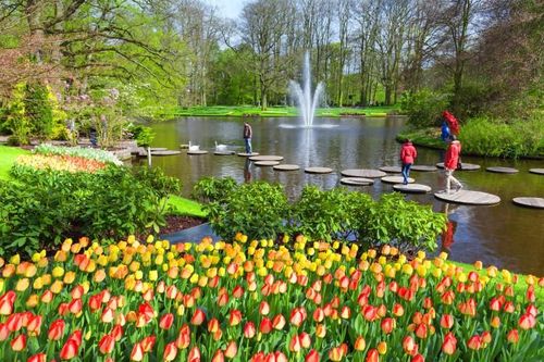 Vườn hoa tulip lớn nhất thế giới 'hốt bạc' ở Hà Lan