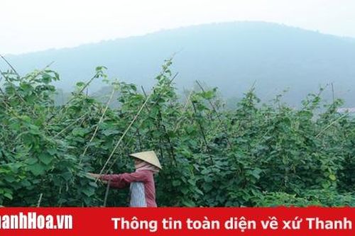 Đảng bộ huyện Hà Trung đẩy mạnh việc học và làm theo Bác