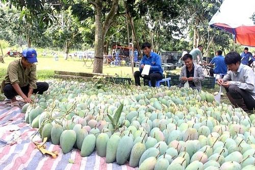 Mạnh dạn chuyển đổi quy trình để xuất ngoại