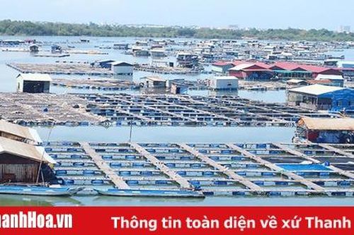 Tăng cường chỉ đạo phát triển nuôi trồng thủy sản năm 2019