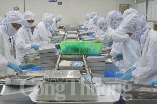 Quảng Nam: Hỗ trợ kiến thức phòng vệ thương mại cho doanh nghiệp