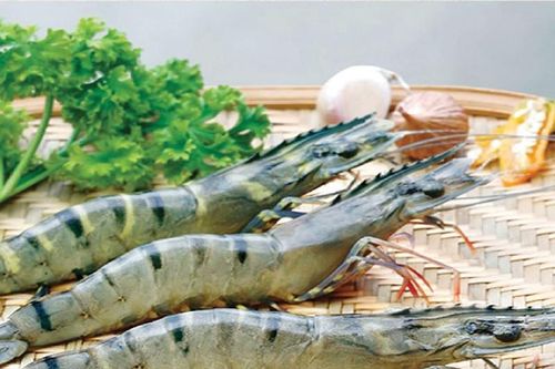 Tận dụng cơ hội từ các FTA, tôm Việt Nam tăng xuất khẩu sang Nhật