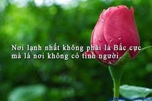 Rơi nước mắt câu chuyện 'Tình người không có hóa đơn'