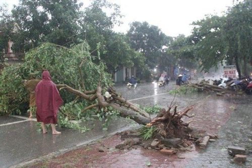 Sáng nắng bỏng rát, chiều mưa đá xối xả kèm theo lốc xoáy tại Nghệ An