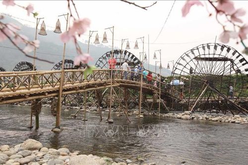 Phát triển ngành 'công nghiệp không khói' ở huyện Tam Đường, Lai Châu
