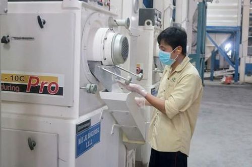 Chú trọng công tác an toàn vệ sinh lao động