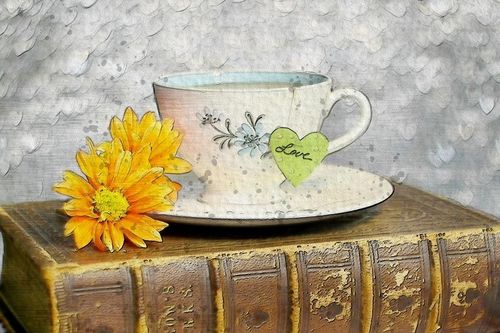 Tử vi thứ Năm ngày 23/5/2019 của 12 cung hoàng đạo