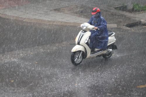 Các tỉnh miền Bắc mưa to nhiều nơi, nhiệt độ cao nhất 31 độ C