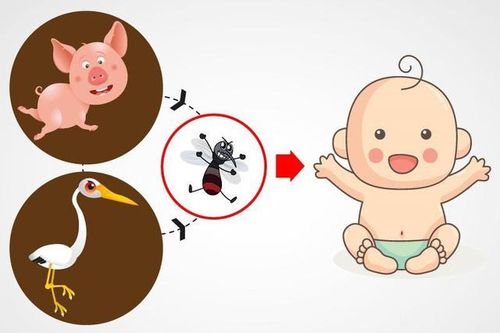 Bệnh viêm não Nhật Bản nguy hiểm như thế nào?