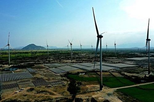 Khám phá cánh đồng điện mặt trời lớn bậc nhất Việt Nam