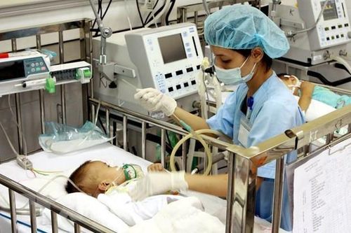Bệnh viêm não Nhật Bản: Nhận biết và phòng chống thế nào?