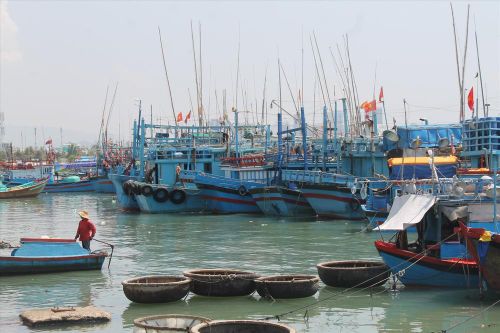 Hàng nghìn tàu cá phải nằm bờ