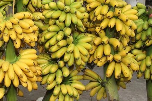 5 đặc sản tiến vua nức tiếng của người Việt thời xưa