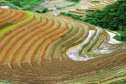 Yên Bái khai mạc Festival dù lượn 'Bay trên mùa nước đổ'