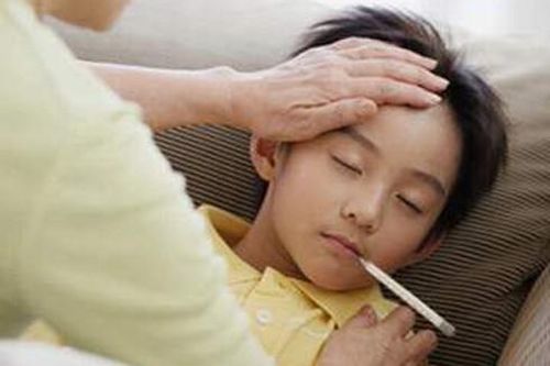 Đề phòng viêm não Nhật Bản vào mùa dịch