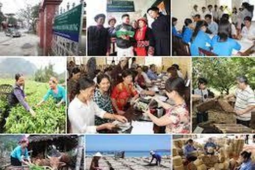 Lập BCĐTƯ sơ kết thực hiện Nghị quyết TƯ5 khóa XI một số vấn đề về chính sách xã hội