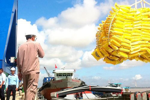 Kỳ vọng cảng nước sâu Trần Đề