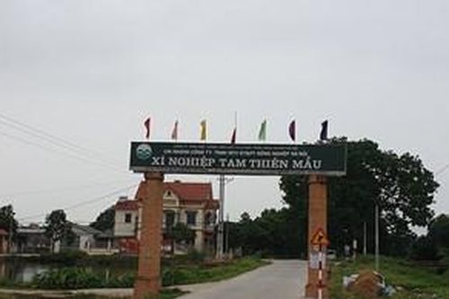 Chuyện thật như đùa: Dân méo mặt bởi lợn chết do dịch tả, Hà Nội - Bắc Ninh đùn đẩy trách nhiệm hỗ trợ?