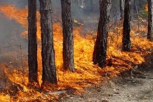 IS tung vũ khí khủng bố mới, cảnh báo mọi chuyện 'chỉ là bước khởi đầu'