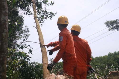 Khẩn trương xử lý việc mất điện thường xuyên ở các huyện miền núi Quảng Nam