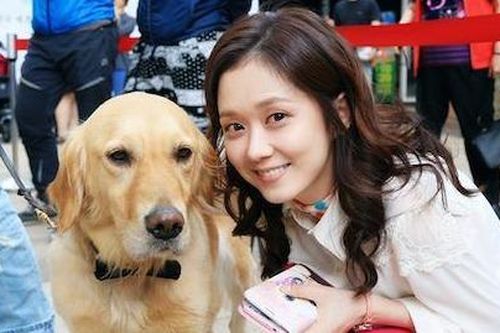 Bận rộn với công việc, người Hàn Quốc cho thú cưng đi học mẫu giáo