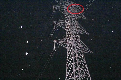 Hy hữu em giải cứu anh bất thành, cùng mắc kẹt trên cột điện cao thế
