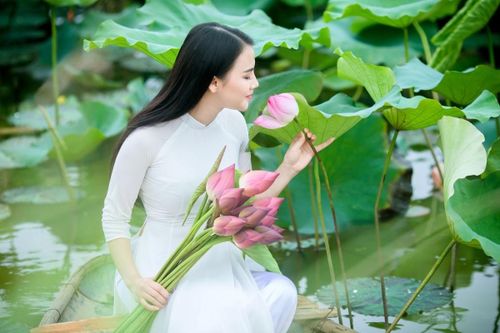 Hồ Sen Bắp Cải: Thung lũng hoa giữa núi đồi