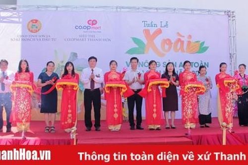 Tuần lễ Xoài và Nông sản an toàn tỉnh Sơn La tại TP Thanh Hóa
