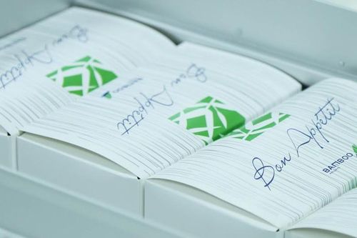 Chuyến bay đặc biệt của Bamboo Airways khởi đầu hành trình 'bay Xanh'