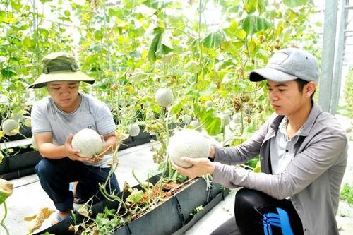 Xuất khẩu nông sản có dấu hiệu chựng lại