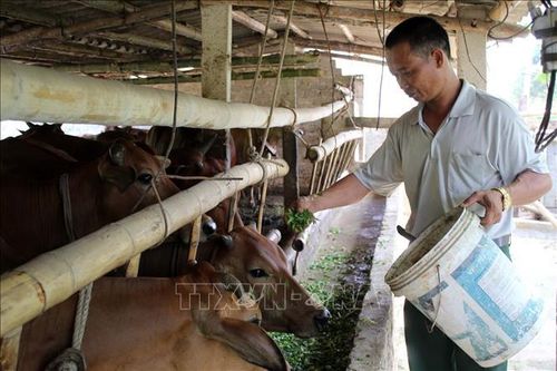 Huy động sức dân đẩy nhanh xây dựng nông thôn mới